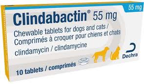 Clindamycin 55mg